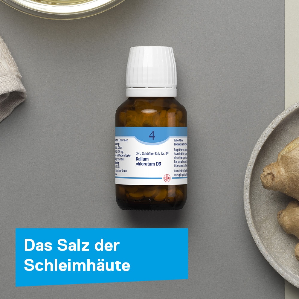DHU Schüßler-Salz Nr. 4 Kalium chloratum D6  200 St Tabletten