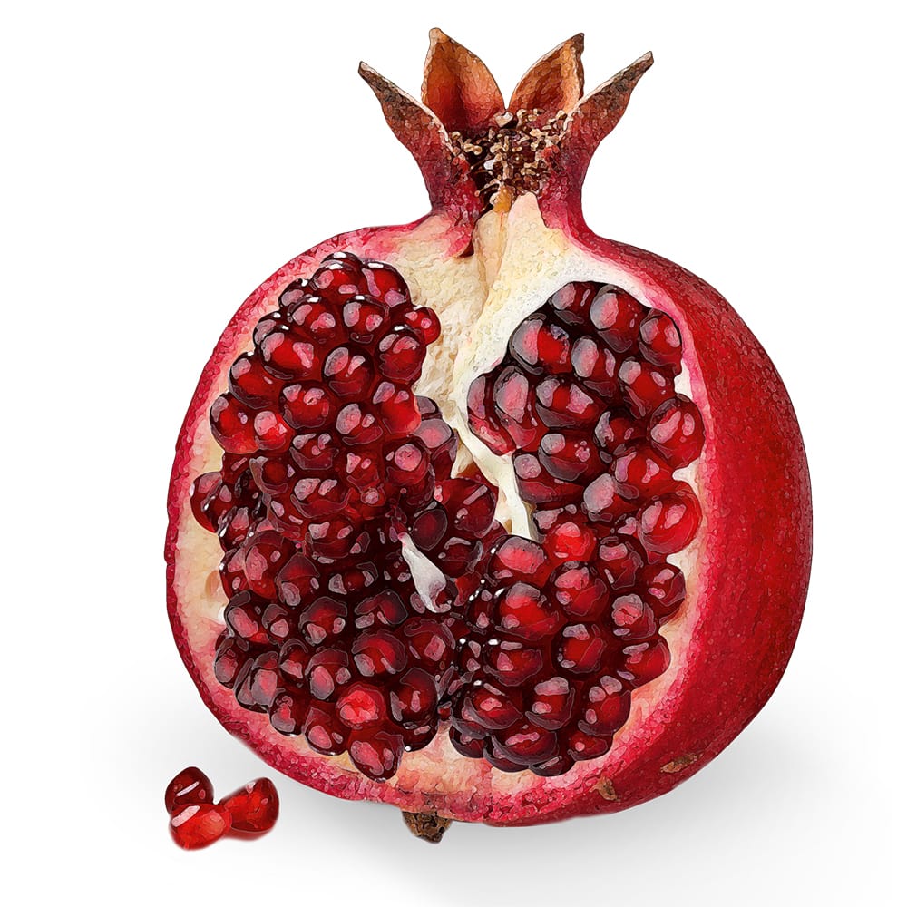 Dr. Jacob's Basen-Riegel Granatapfel B12 45 g