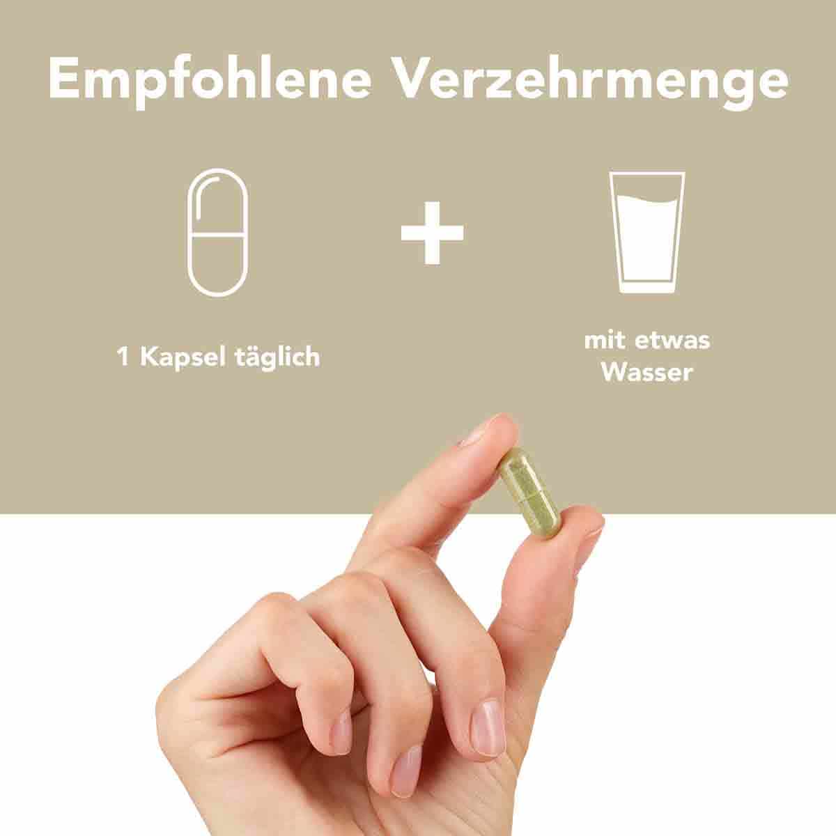 Fermentura GINKGO DUO 30 St Kapseln