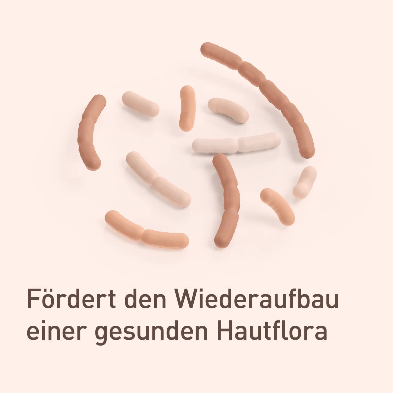 nupure probaderm  50 ml Creme