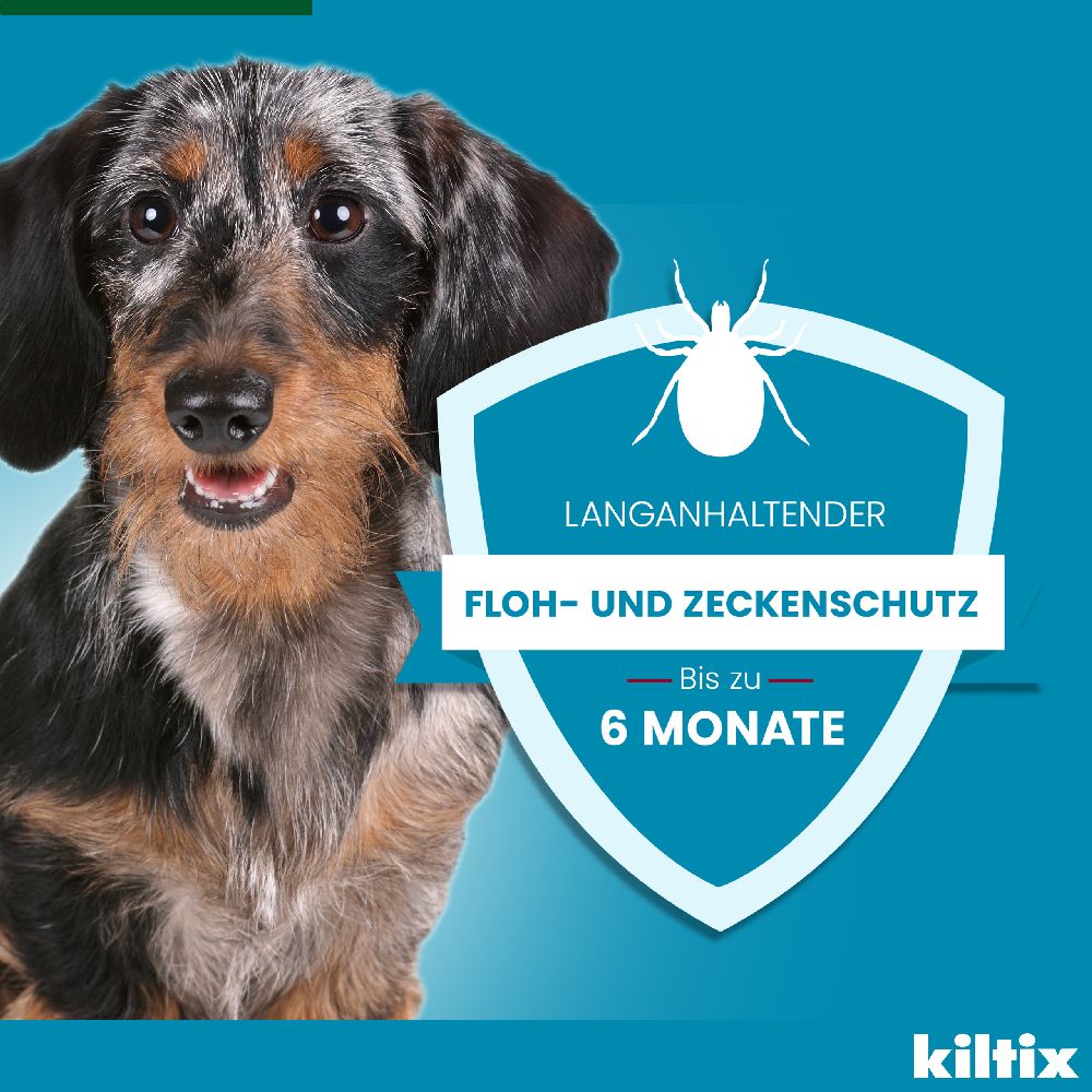 KILTIX Halsband für kleine Hunde 1 St Halsband