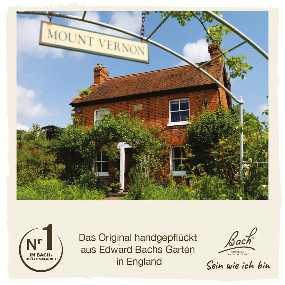 BACHBLÜTEN Original Elm Nr. 11 20 ml Tropfen