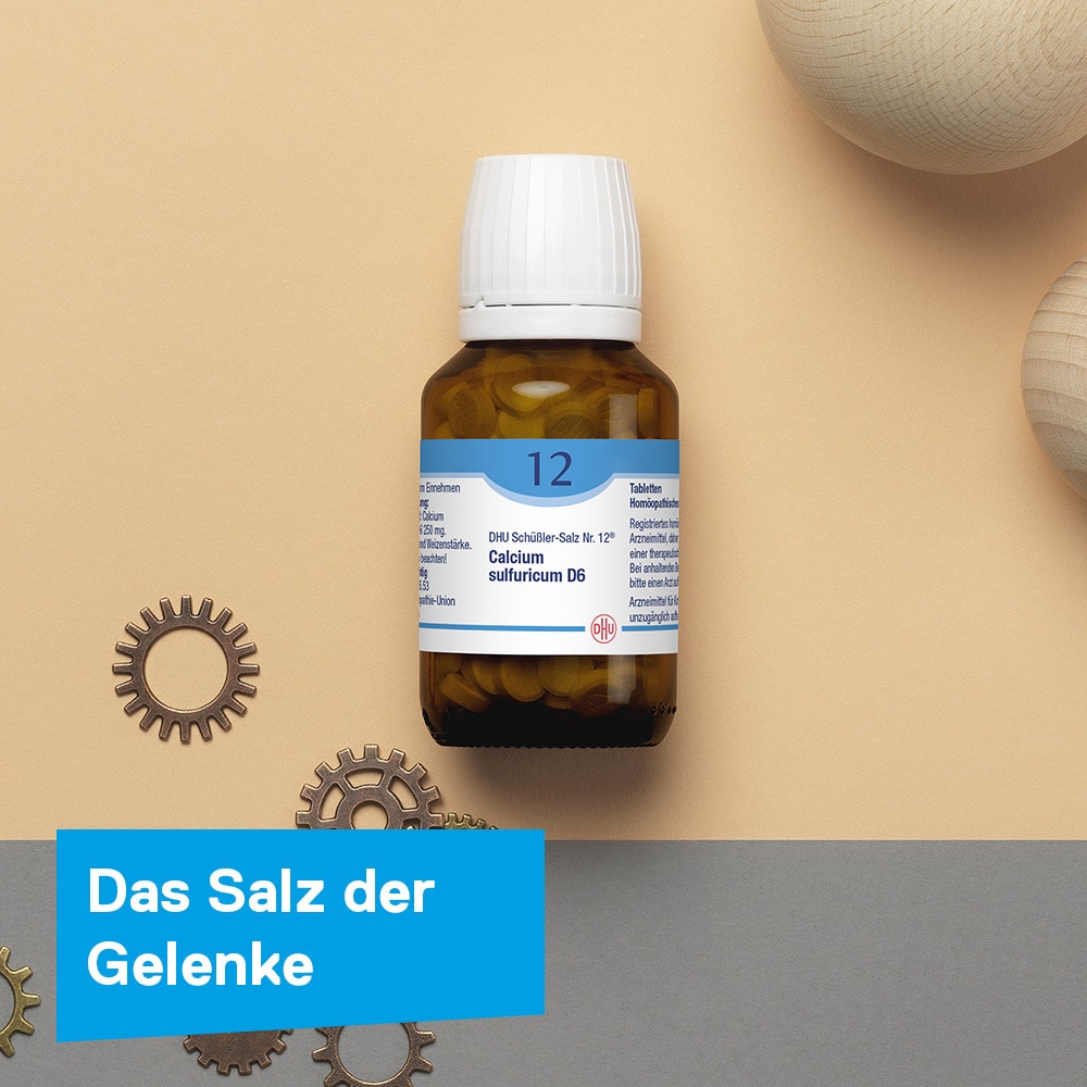 DHU Schüßler-Salz Nr. 12 Calcium sulfuricum D6  420 St Tabletten
