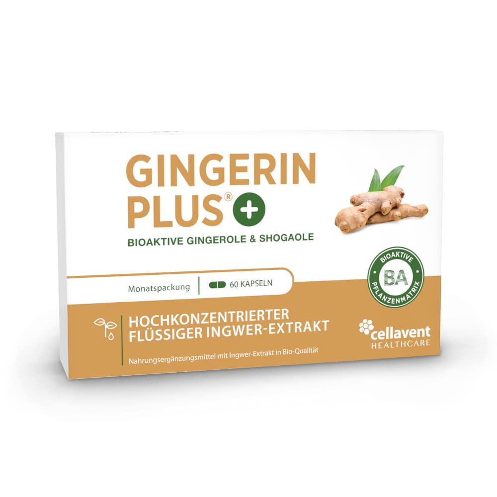 GINGERIN PLUS 60 St Kapseln
