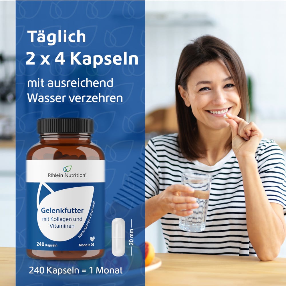 R(h)ein Nutrition Gelenkfutter 240 St Kapseln