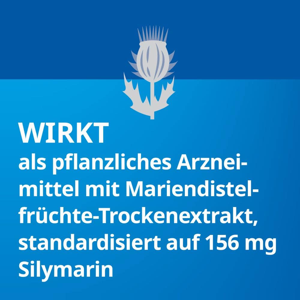 Silymarin STADA 100 St Hartkapseln