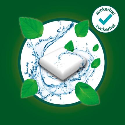 nicorette 2 mg Nikotinkaugummi freshmint für Raucher zum Aufhören