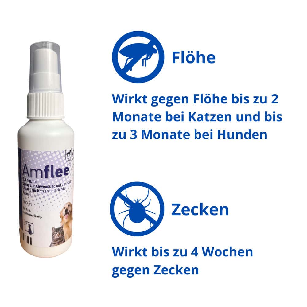 Amflee 2,5 mg/ml Spray Lösung für Hunde/Katzen 100 ml Spray