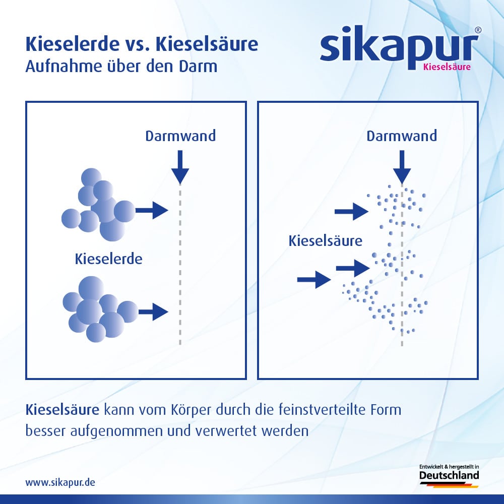 sikapur KIESELSÄURE SOFTGEL-KAPSELN 30 St Kapseln