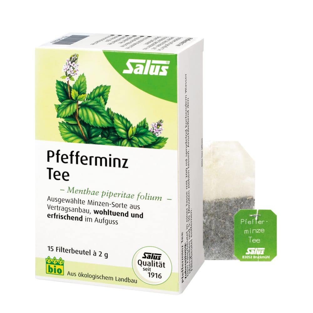 Salus Pfefferminz Tee 15 St Filterbeutel