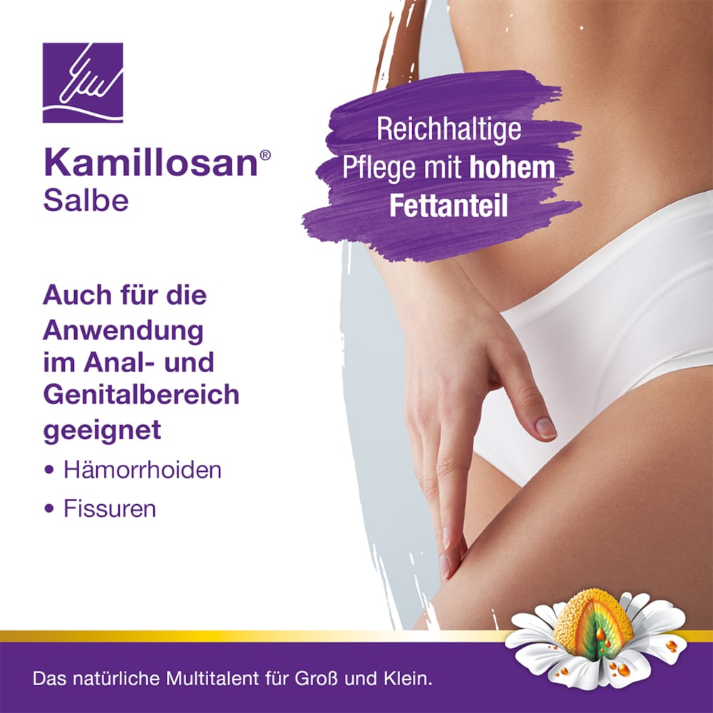 Kamillosan Salbe 100 g Salbe