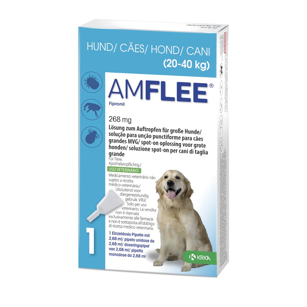 Amflee 268 mg Lösung zum Auftropfen für große Hunde 20-40kg 3 St Lösung