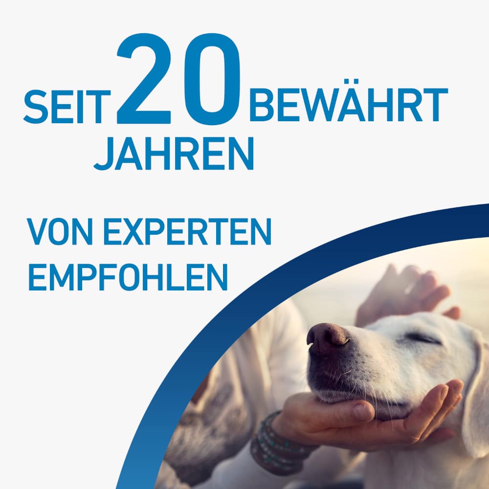 FRONTLINE SPOT-ON gegen Zecken, Flöhe und Haarlinge für Hunde L (20-40 kg)  3 St Lösung