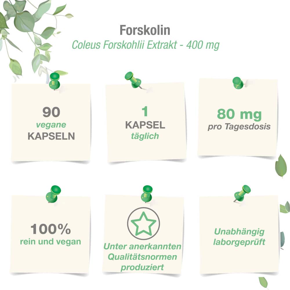 vitabay FORSKOLIN 400mg 90 St Kapseln