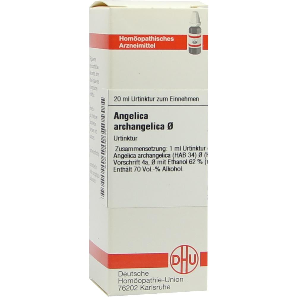 ANGELICA ARCHANGELICA Urtinktur D 1 20 ml Dilution