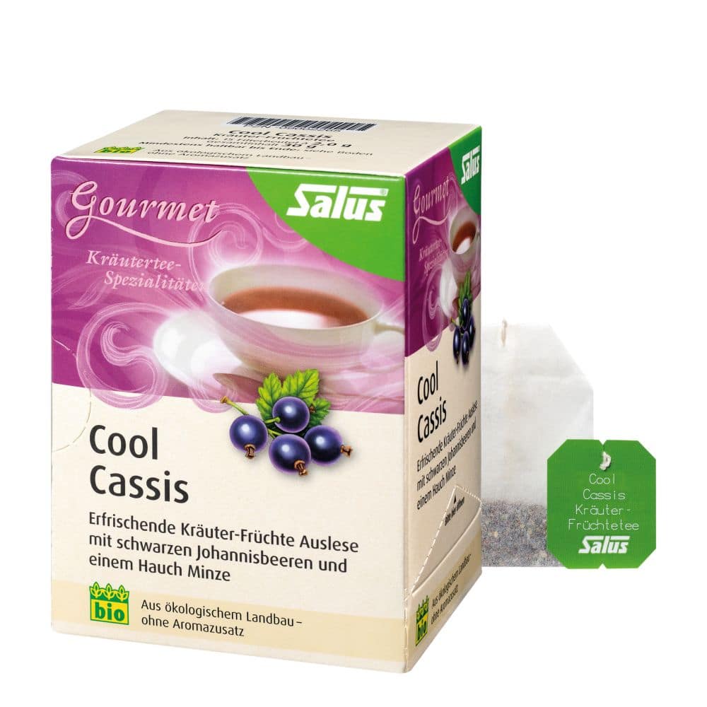 Salus Cool Cassis Kräuter-Früchte-Tee 15 St Filterbeutel