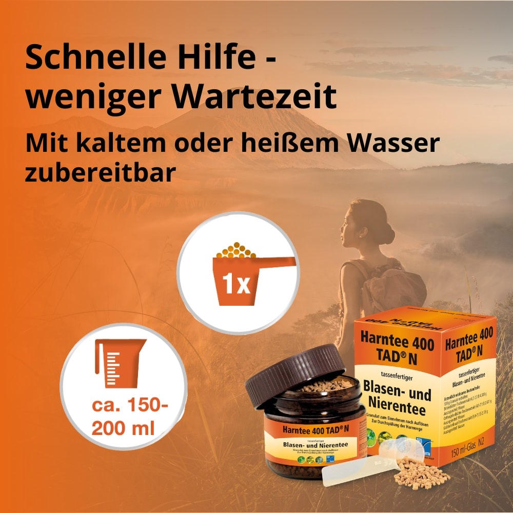 Harntee 400 TAD N Blasen- und Nierentee 150 ml Granulat