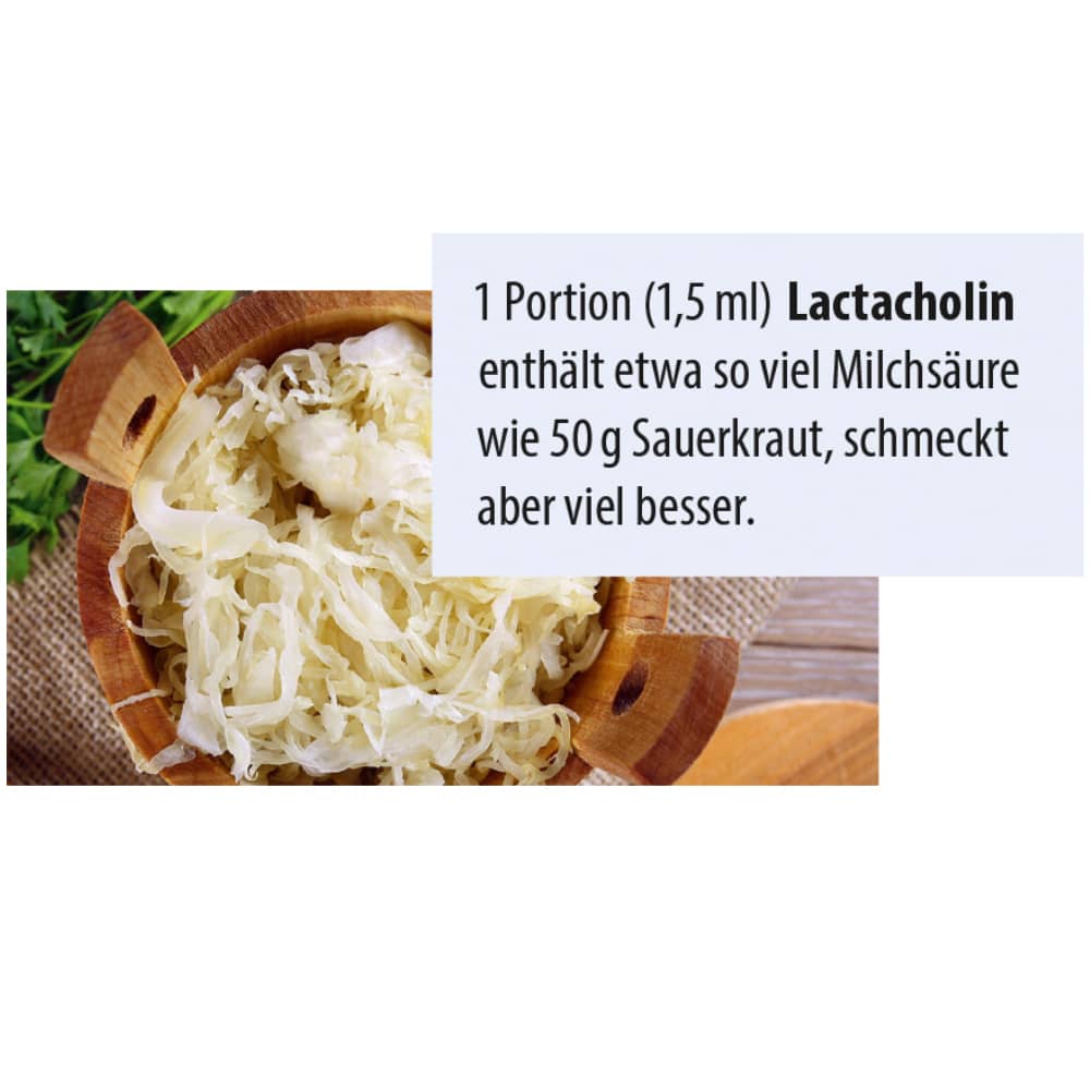 Dr. Jacob's LactaCholin Milchsäure Vitamin-B-Komplex vegan