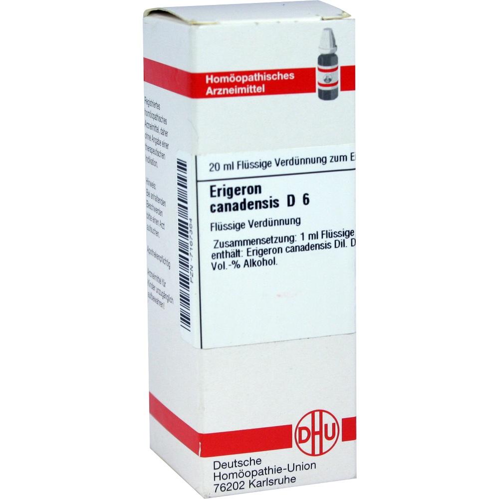 ERIGERON CANADENSIS D 6 Dilution 20 ml Dilution
