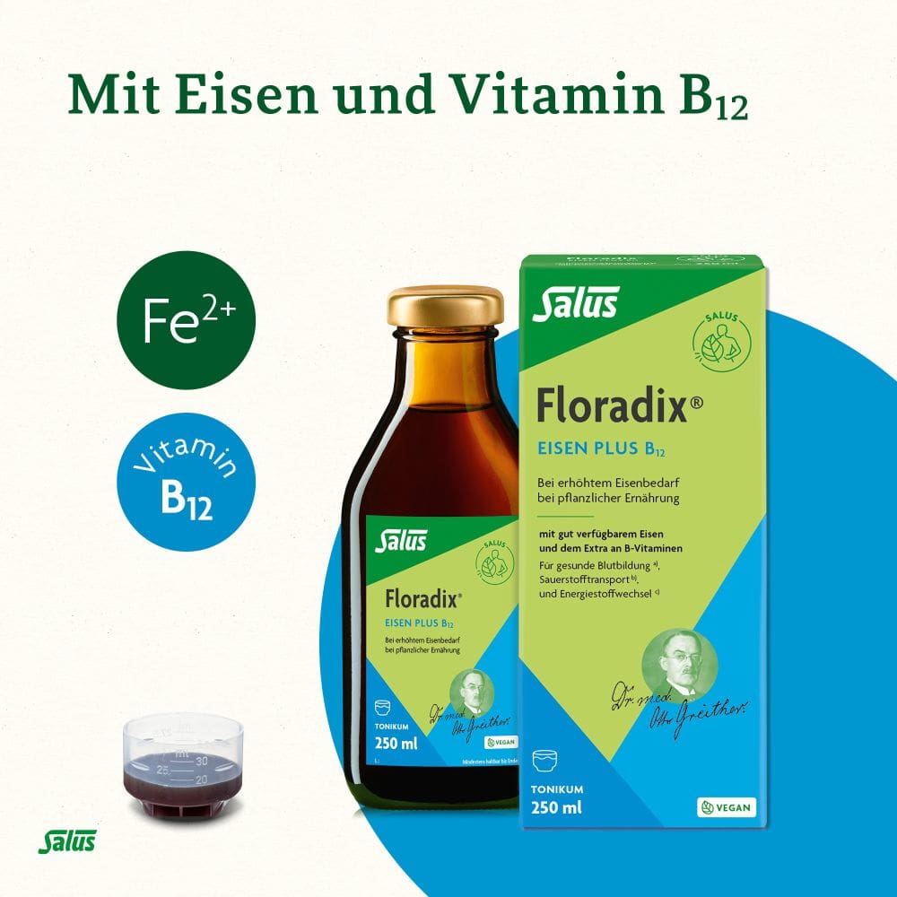 Floradix Eisen Plus B12 Tonikum 250 ml Tonikum
