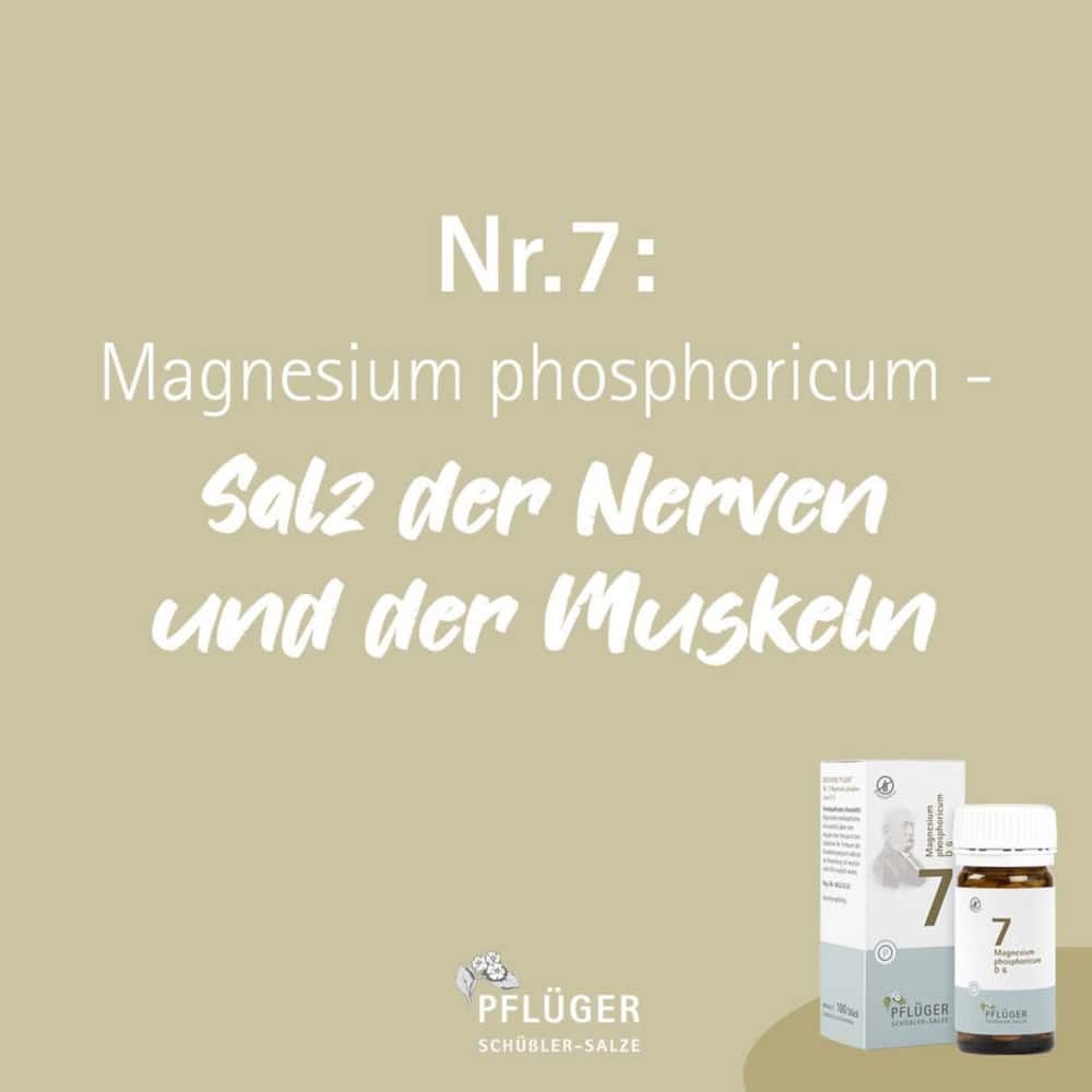 Schüßler-Salz Nr. 7 Magnesium phosphoricum D6 400 St Tabletten