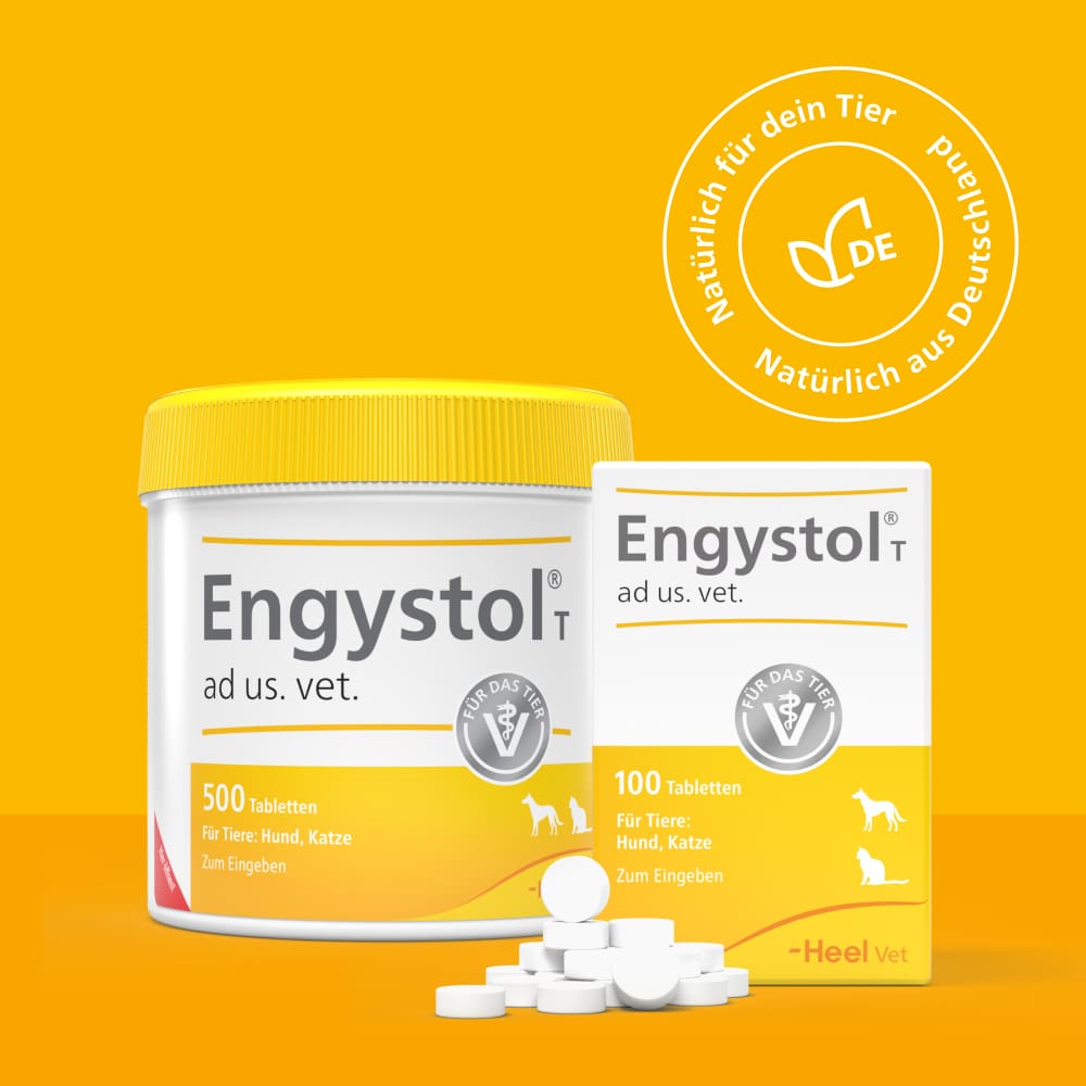 Engystol T ad us. vet. 100 St Tabletten