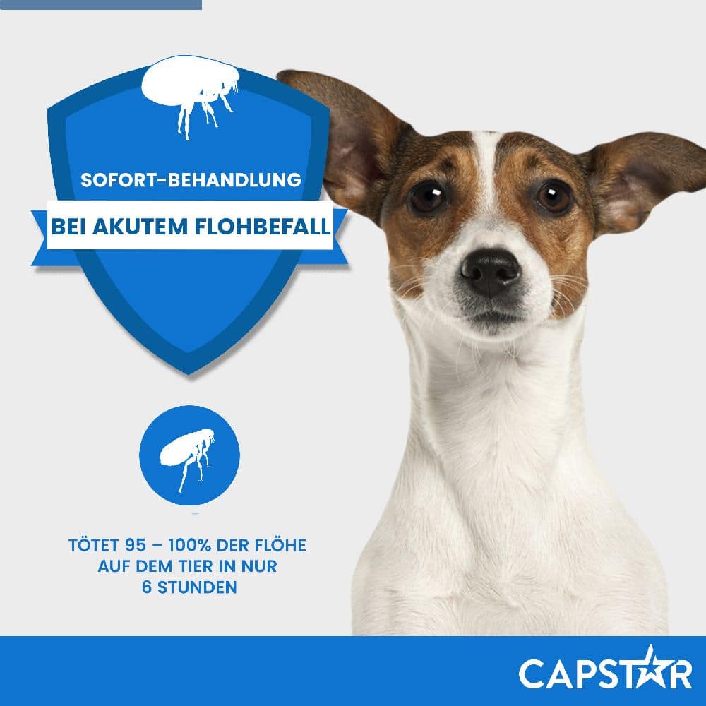 CAPSTAR 11,4 mg für Katzen und kleine Hunde 6 St Tabletten