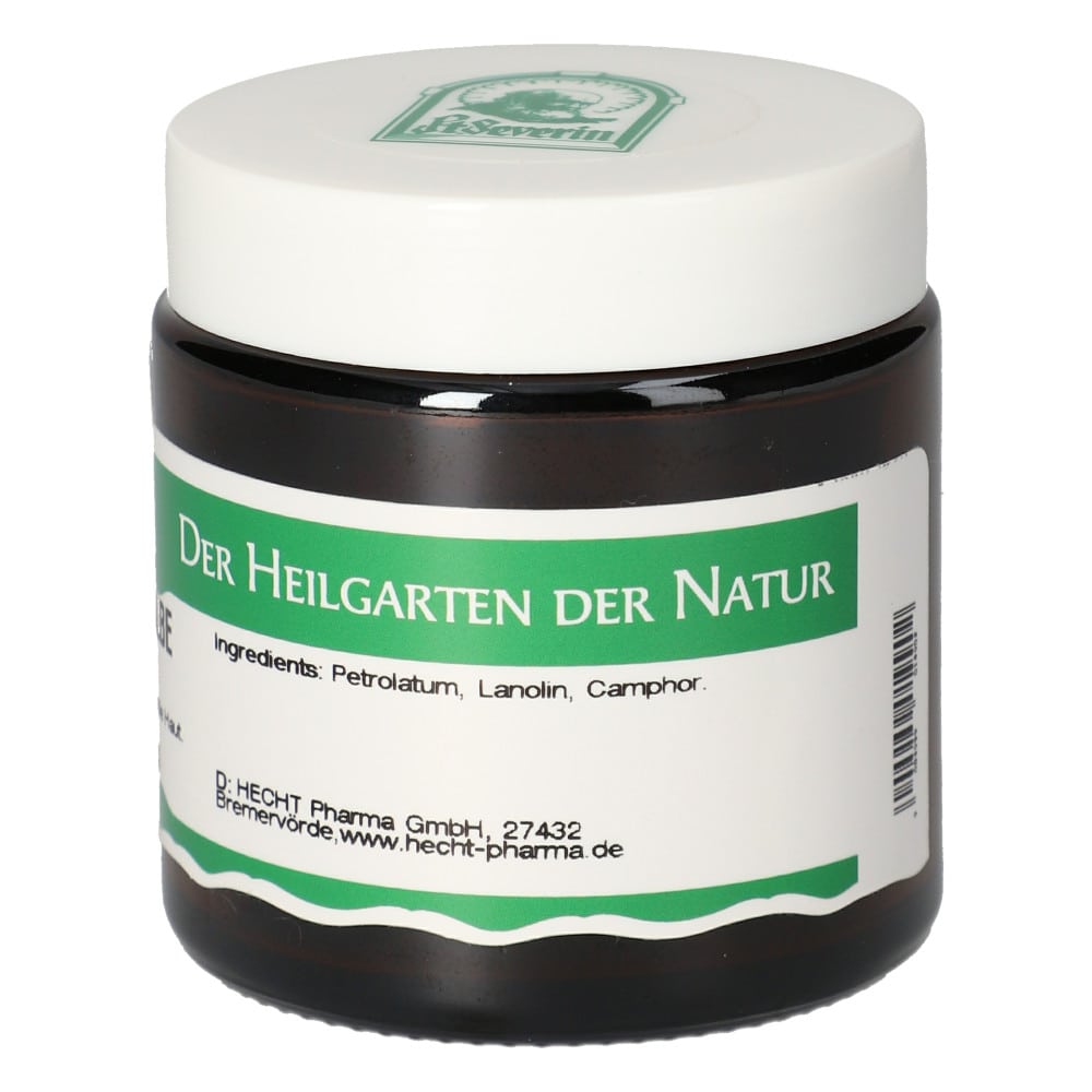 KAMPFERSALBE 100 g Salbe