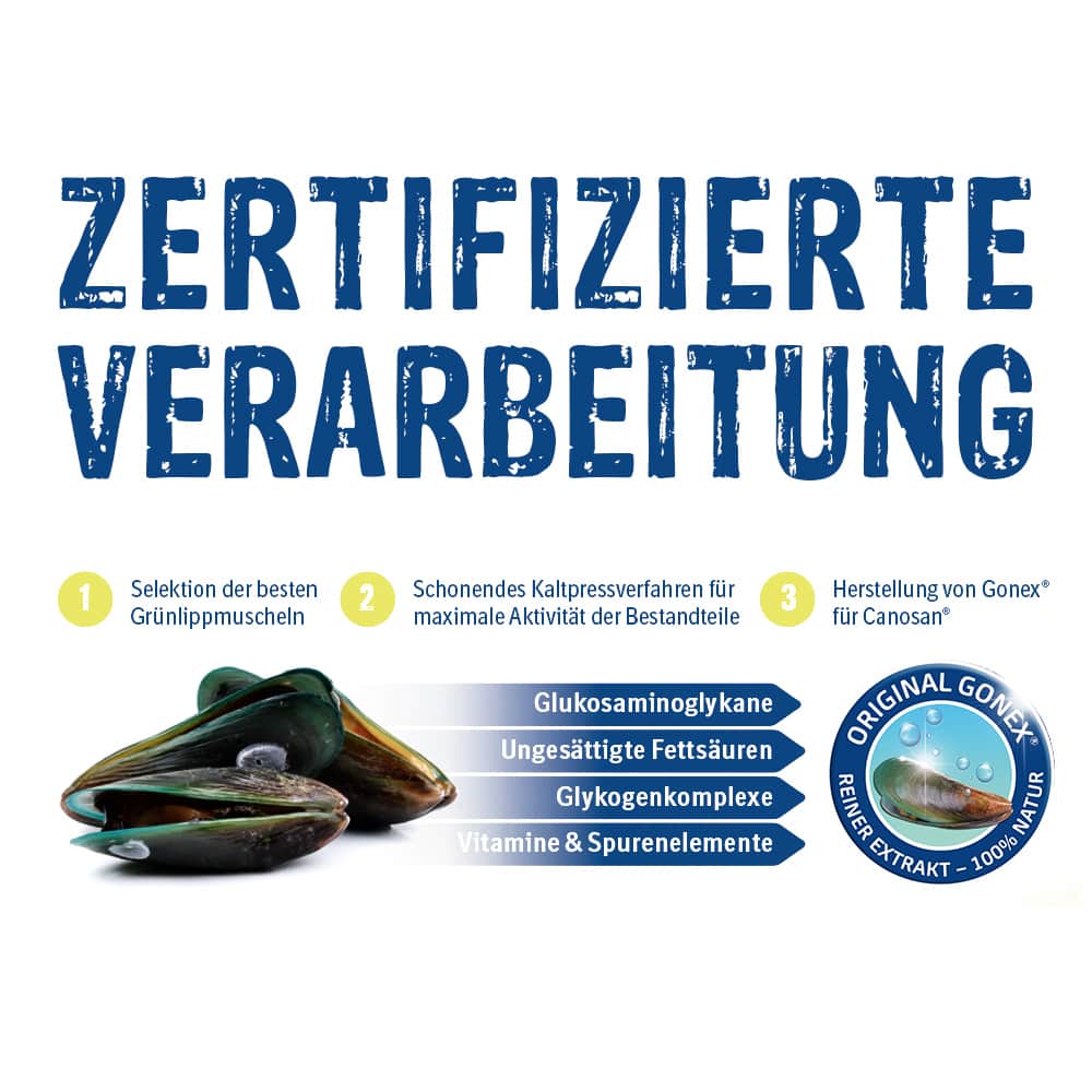 CANOSAN Pellets bei Gelenkproblemen Hund mit Grünlippmuschel-Extrakt Gonex 650 g Konzentrat CANOSAN Pellets bei Gelenkproblemen Hund mit Grünlippmuschel-Extrakt Gonex 650 g Konzentrat