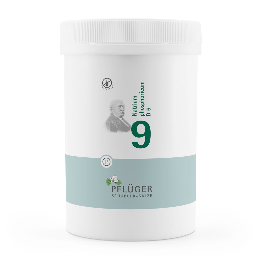 Schüßler-Salz Nr. 9 Natrium phosphoricum D6 4000 St Tabletten