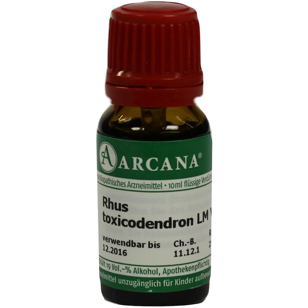 RHUS TOXICODENDRON LM 6 Dilution 10 ml Dilution