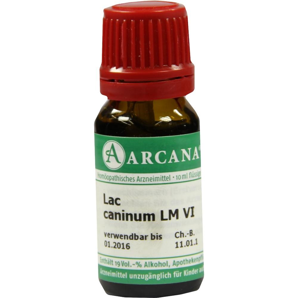 LAC CANINUM LM 6 Dilution 10 ml Dilution