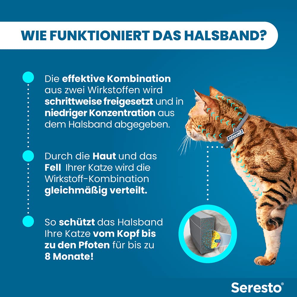 Seresto Halsband für Katzen 1 St Halsband