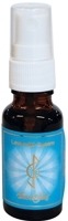 LAVENDEL ESSENZ 20 ml Essenz