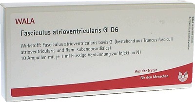 FASCICULUS atrioventricularis GL D 6 Ampullen 10X1 ml Ampullen