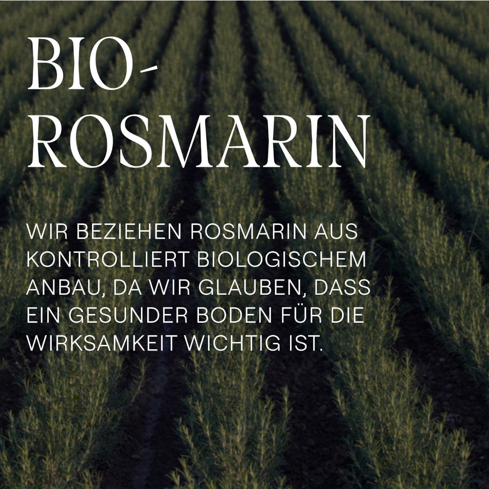 Weleda Rosmarin Revitalising Conditioner 150 ml Haarspülung