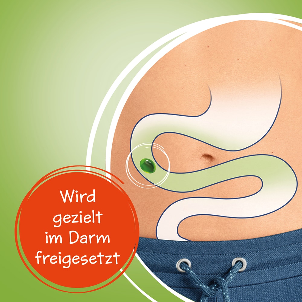 Carmenthin bei Verdauungsstörungen 84 St Magensaftresistente Weichkapseln