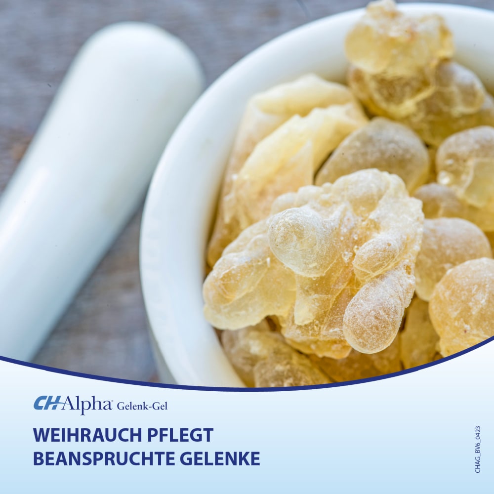 CH Alpha Gelenk-Gel 100 ml Gel