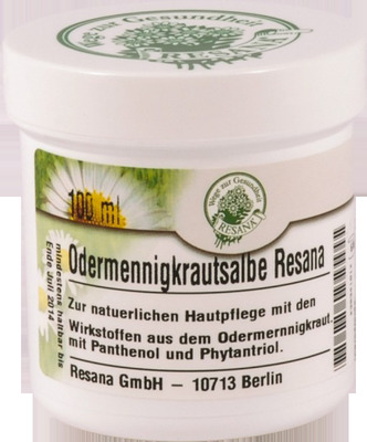 ODERMENNINGKRAUT Salbe 100 ml Salbe