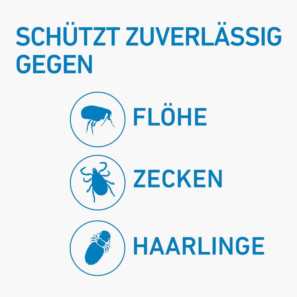 FRONTLINE SPOT-ON gegen Zecken und Flöhe für Katzen 6 St Lösung