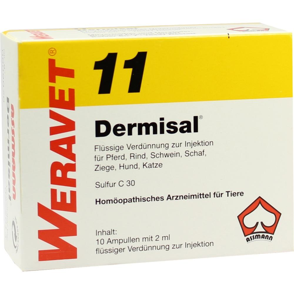 DERMISAL 11 Ampullen vet. 10X2 ml Ampullen