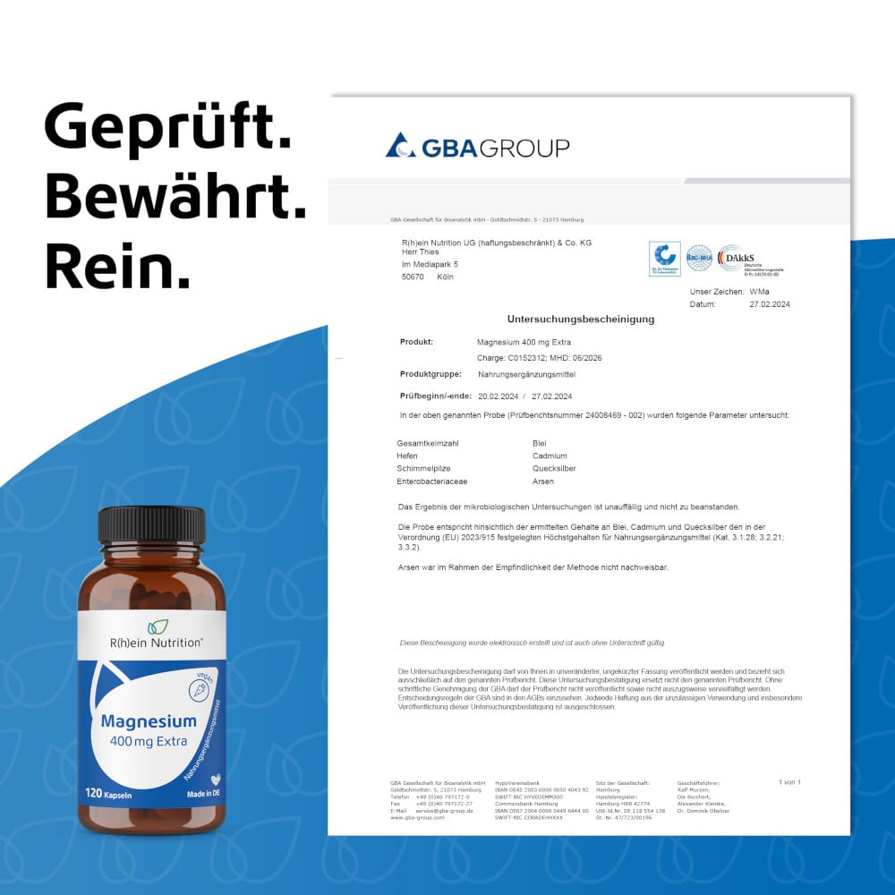 R(h)ein Nutrition Magnesium 400 mg Extra 120 St Kapseln