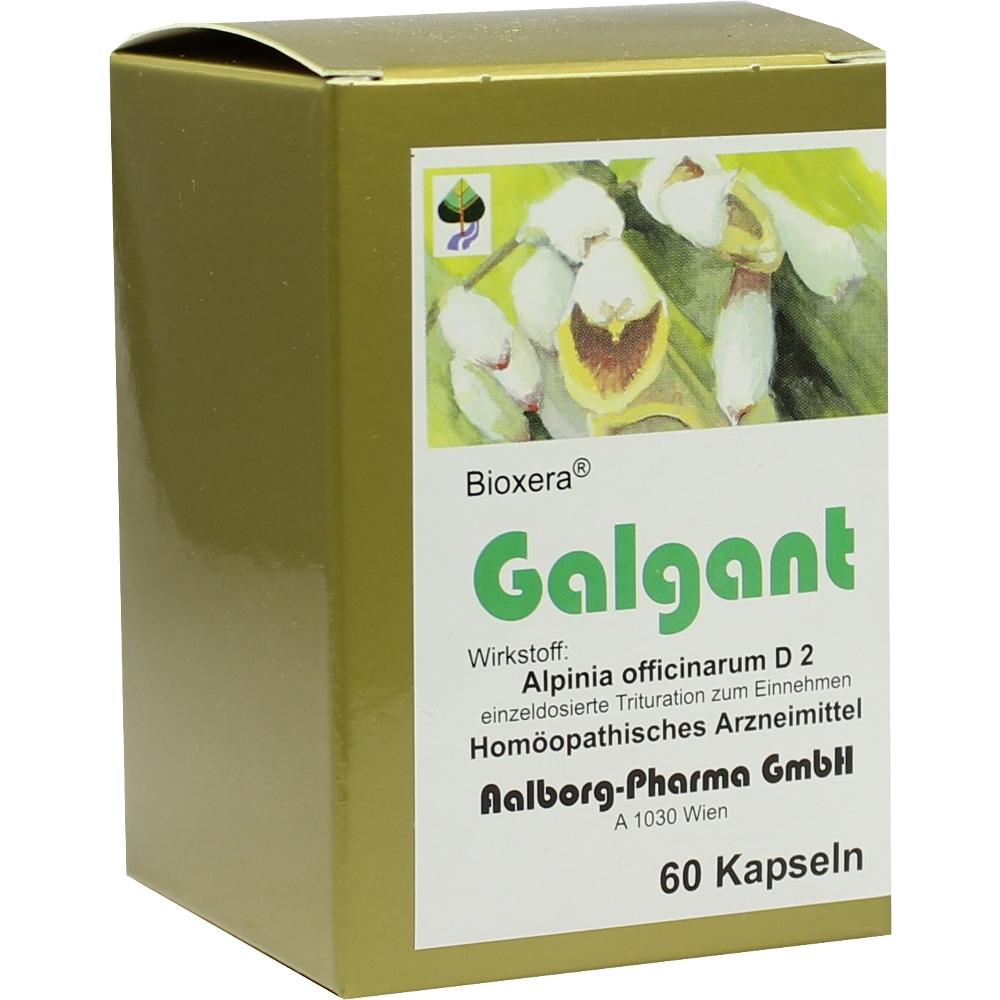 GALGANT KAPSELN 60 St Kapseln