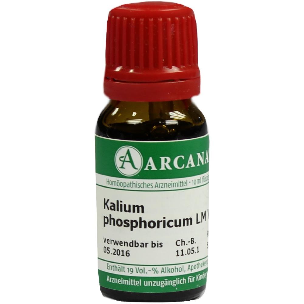 KALIUM PHOSPHORICUM LM 6 Dilution 10 ml Dilution