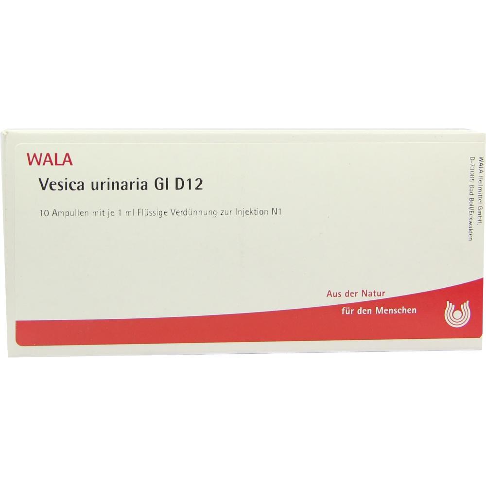 Vesica urinaria Gl D12 Ampullen 10X1 ml Ampullen