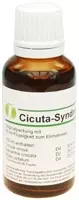 CICUTA SYNDROM Reciplex Tropfen 30 ml Tropfen