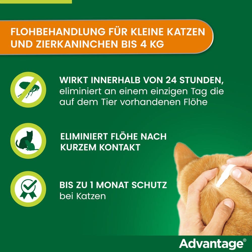 Advantage 40 mg für kleine Katzen und kleine Zierkaninchen 4X0.4 ml Lösung