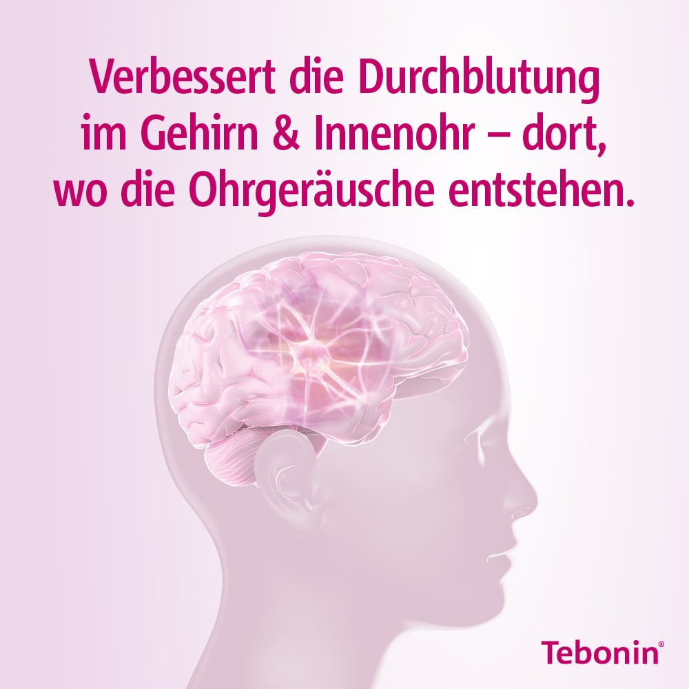 Tebonin intens 120 mg 200 St Filmtabletten