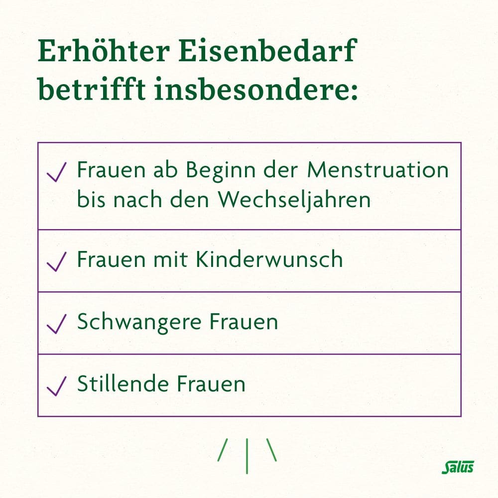 Floradix Eisen plus B-Vitamine 40 St Kapseln
