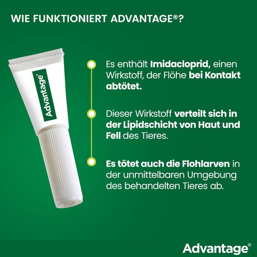 Advantage 400 Lösung Pipetten für Hunde ab 25 kg 1X4 St Lösung